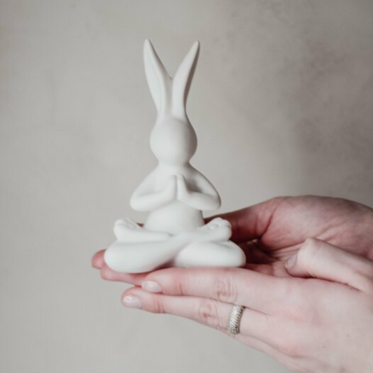 Yoga Bunny
