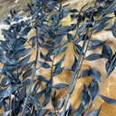 Ruscus 100gr, Svart