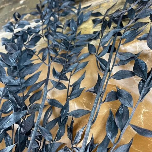 Ruscus 100gr, Svart