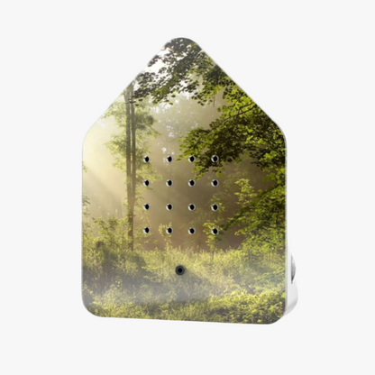 Musical box Zwitscherbox, Birdsong