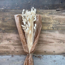 Phalaris Vit