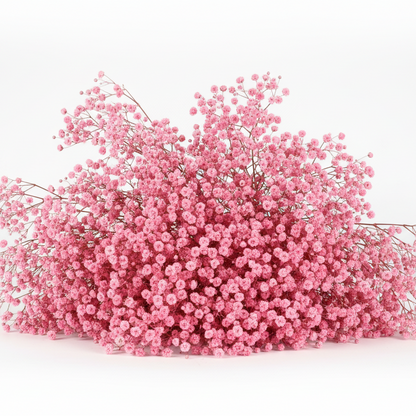 Brudeslør 120 gram, Rosa