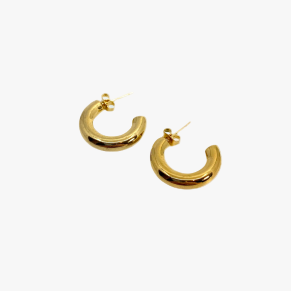 Earrings Silvia Hoop