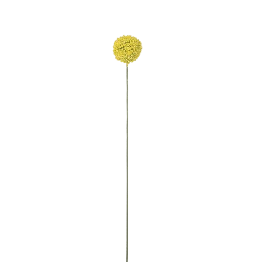 Solar Ball 38cm