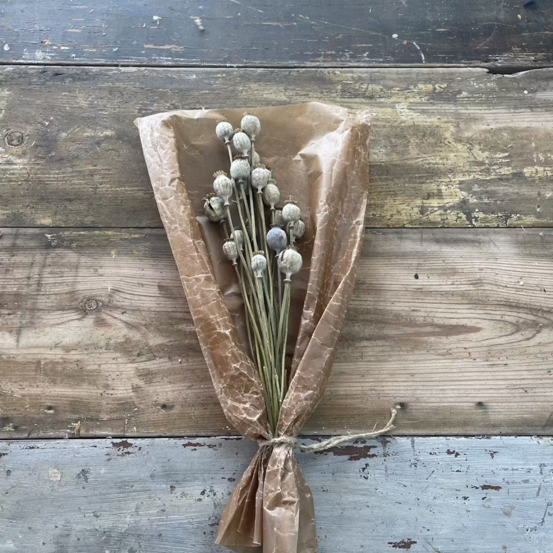 Poppy Natural 15-pack