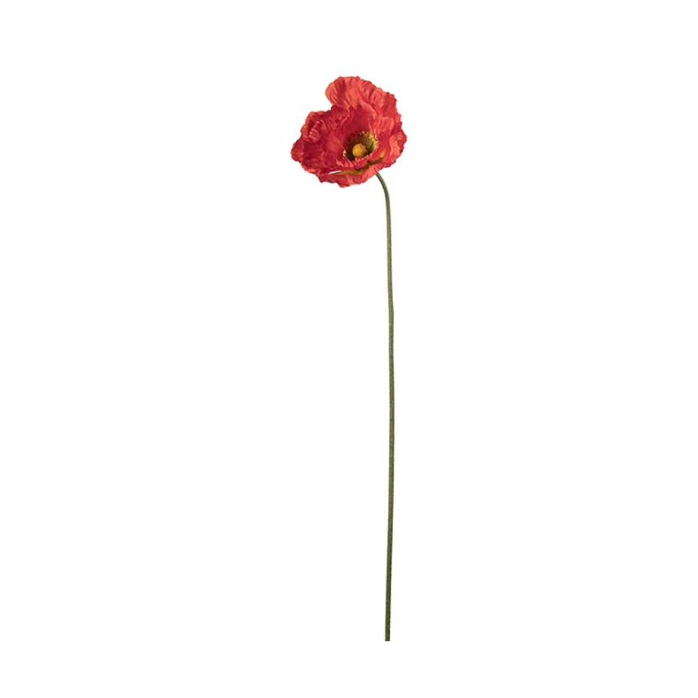 Mr Plant – Frera Of Sweden